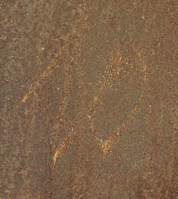 DSC_6029.JPG
