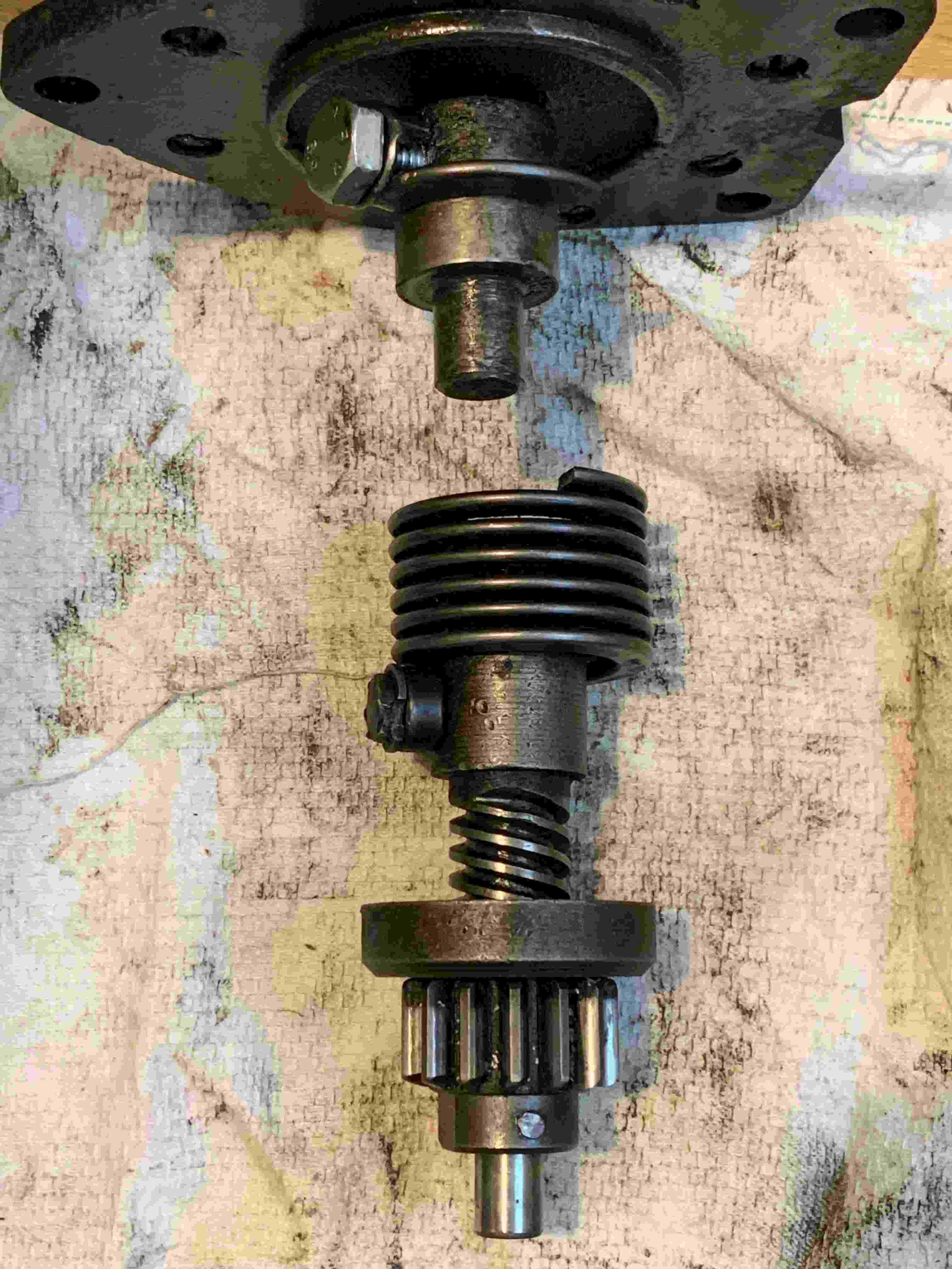 IMG-0561-compressed.jpg