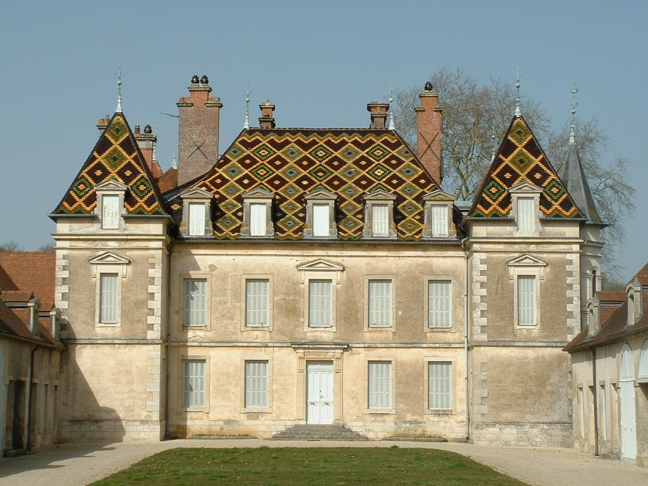IMG_4631.jpeg