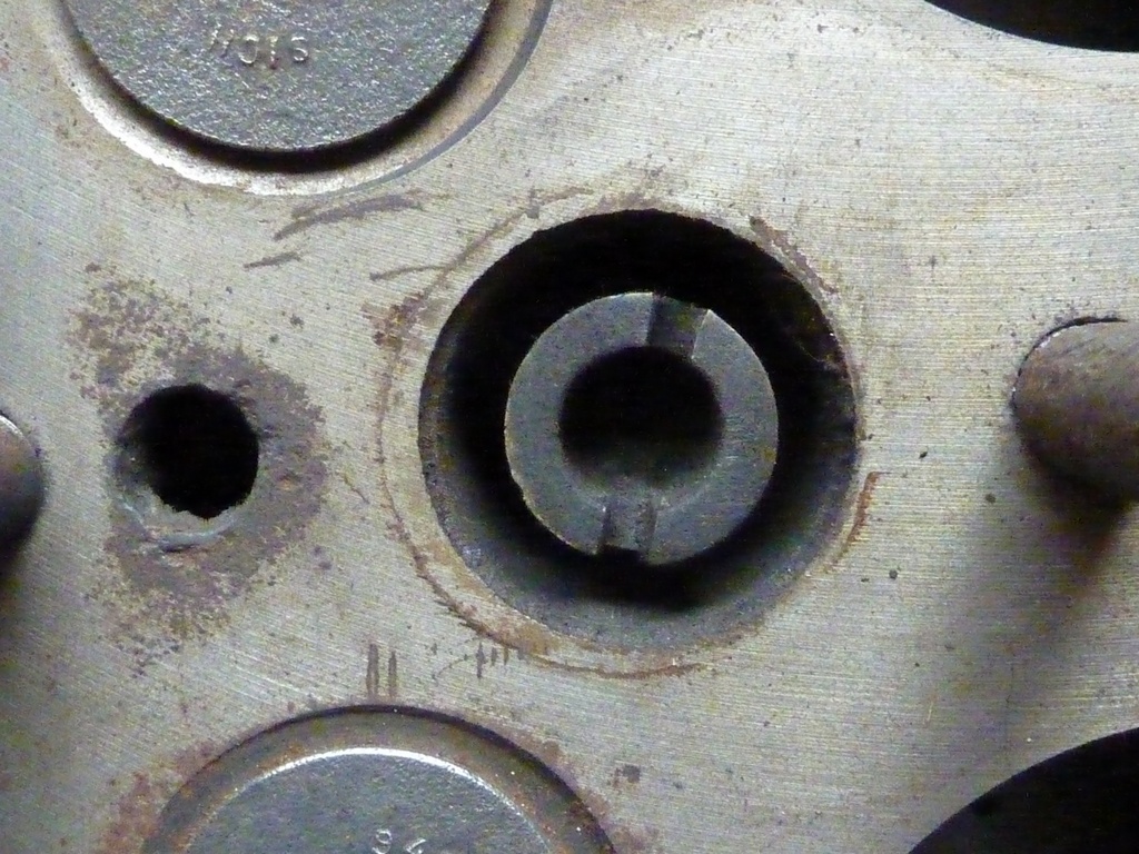 P1010831.jpg
