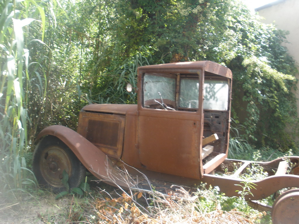 P8050003_redimensionner.JPG