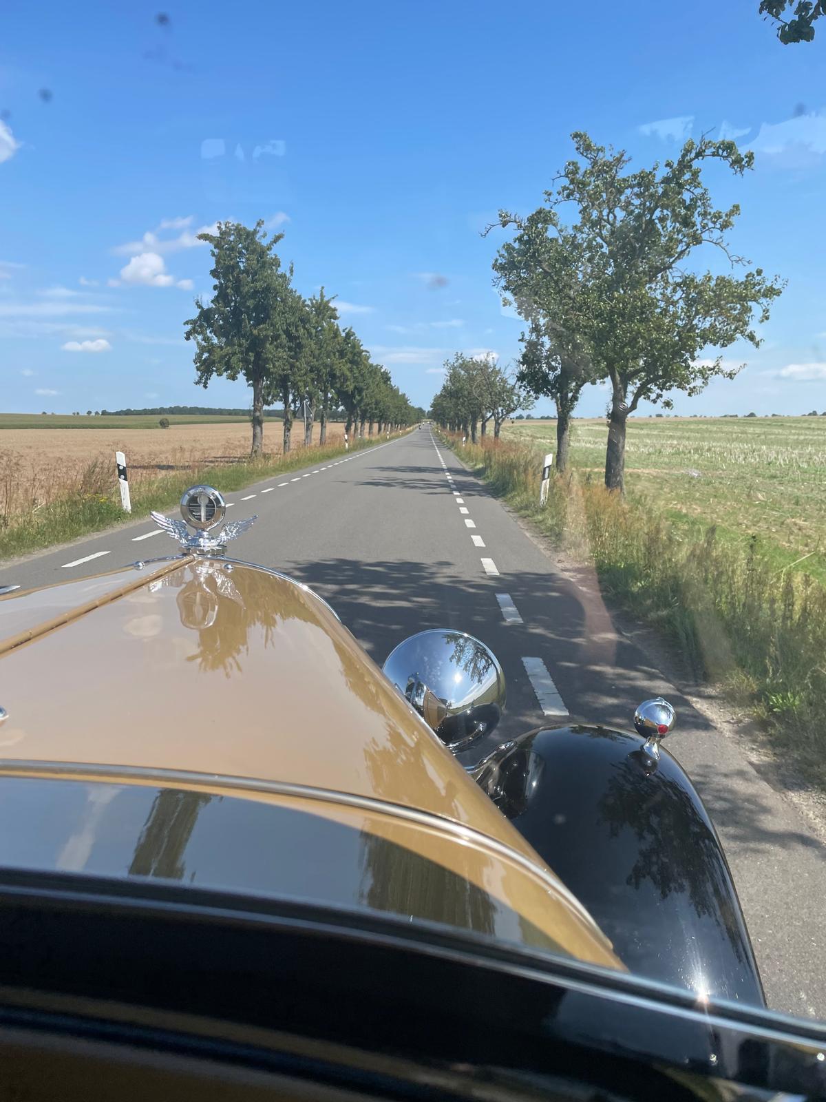 d46f5b46-c115-4ad9-aea5-b9704cb113df.jpeg