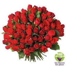 roses.jpg